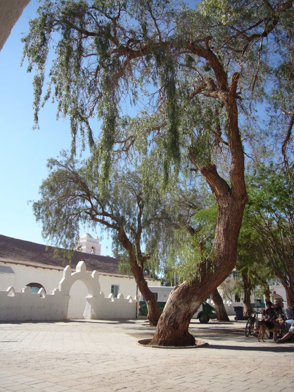 San Pedro De Atacama